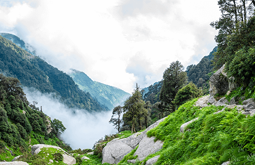 Himachal Manali Tour