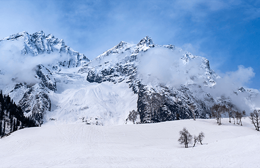 Kashmir Srinagar Gulmarg Tour