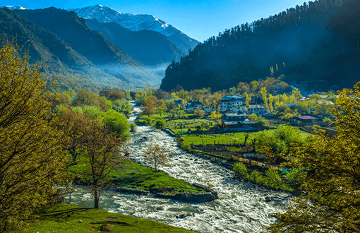 Kashmir Srinagar Gulmarg Tour