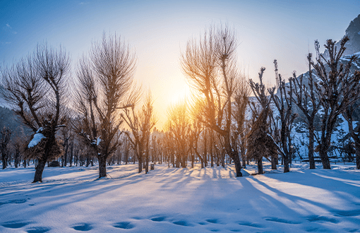 Kashmir sonmarg Tour