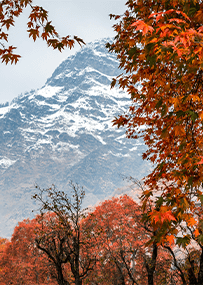 Kashmir